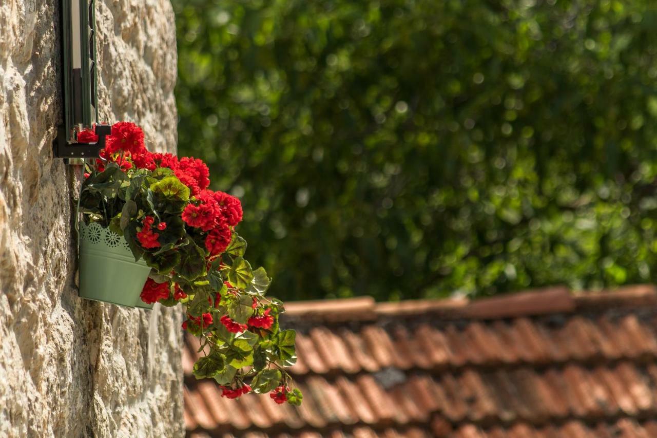 Holiday Godinj Holiday home